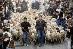 Artzainez eta ardiz bete ziren atzo Ordiziako kaleak.