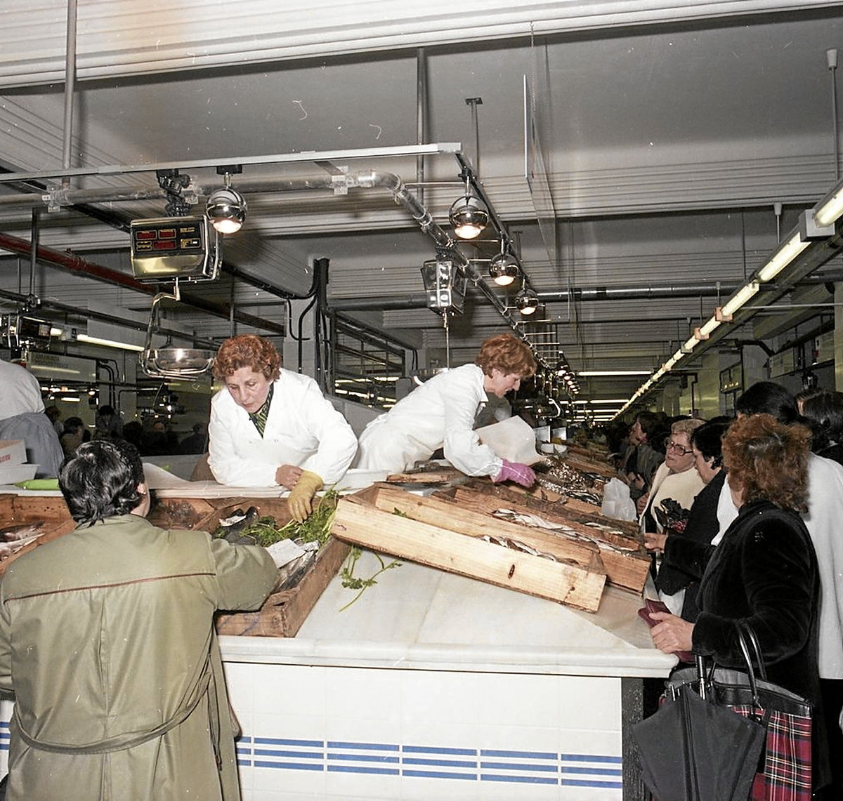 El interior del mercado en 1984. (Archivo Municipal de Bilbao | Autor: Librería e Verdes AMB y FOAT)