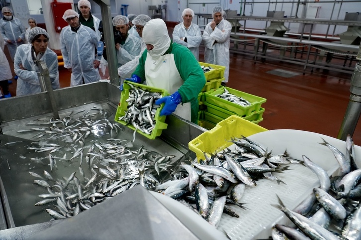 Kofradia Basque Seafood proiektu berria aurkeztu dute Lakuak eta baxurako sektoreak Berriatuan.