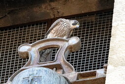 Hemen bikotekide bat. Ez dakigu Mercedes edo Tony den.