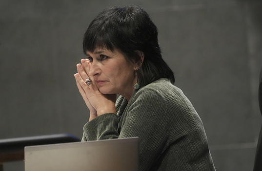 Aznal insisitó en que la nueva ley puede mejorar la gestión y eficiencia de Osasunbidea.