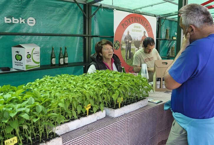Feri eguna domekan izango da aurten, apirilaren 26an.