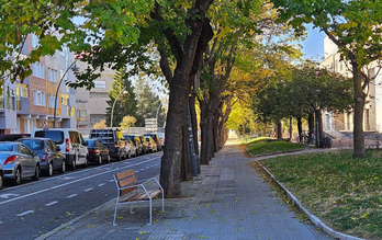 El atropello se produjo ayer en la calle gasteiztarra de San Viator.