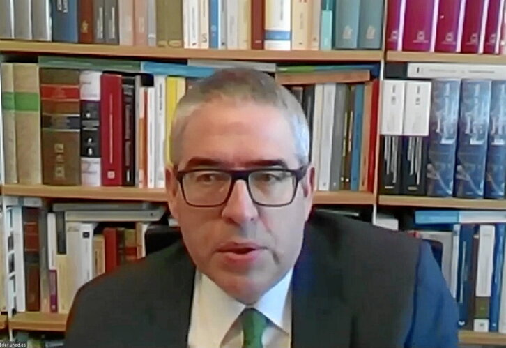 Xabier Arzoz intervino por videoconferencia en la Ponencia sobre la Ley de Empleo Público.