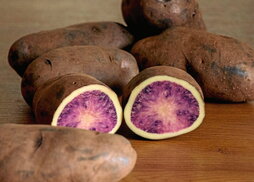 La variedad de patata Atsegiñe destaca por sus dos colores.