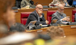 El consejero Carlos Gimeno y su compañero de Gobierno, el titular de Salud, Fernando Domínguez, durante las votaciones.