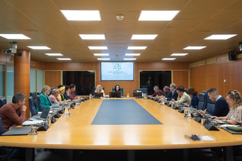 Comparecencia de los representantes de la planta de Amurrio.