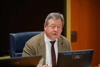 El consejero de Seguridad, Bingen Zupiria, en una comparecencia parlamentaria.