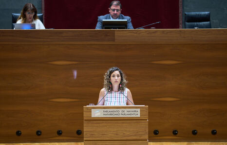 El Parlamento navarro rechaza respaldar a SF 78 Gogoan! y Martxoak 3 ante el Estado