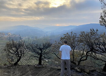 Una persona observa los daños causados por un incendio forestal en las inmediaciones de San Martin Unx.