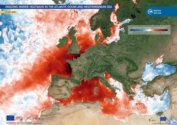 Anomalías de temperatura de la superficie del mar el 30 de mayo de 2026. Las zonas en rojo y rojo oscuro marcan aguas más cálidas de lo normal.
