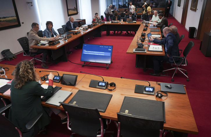 Última sesión de la comisión, celebrada este miércoles en el Parlamento de Nafarroa.