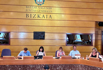La diputada de Acción Social ha comparecido en comisión en las Juntas Generales.