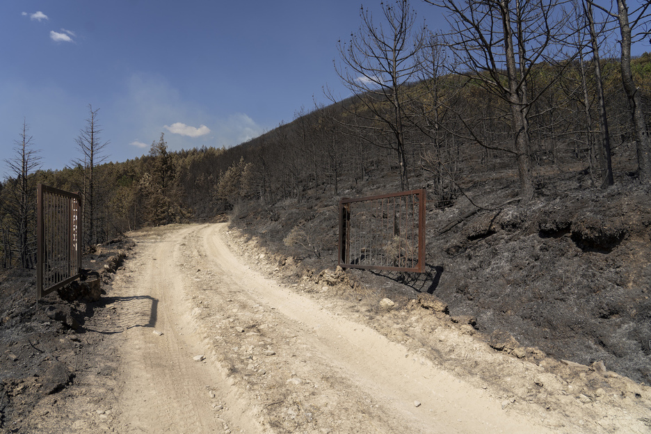 Una pista forestal en la zona del incendio.