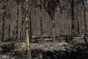 Potente incendio en Ezkaba