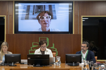 El presidente del Comité, David Cantero, ha acudido al Parlamento y Marga Viciola ha comparecido por videoconferencia.