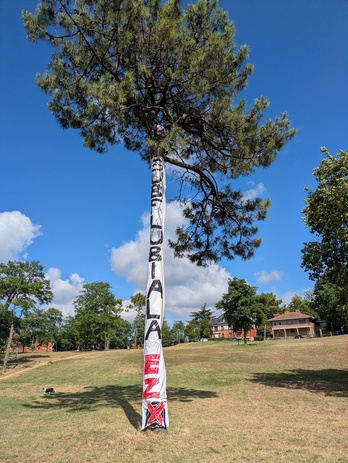 Árbol al que se ha subido el activista en Artaza.