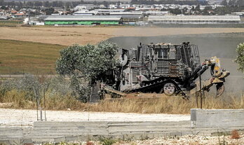 Un bulldózer del Ejército israelí arranca olivos en la localidad palestina de Zububa.