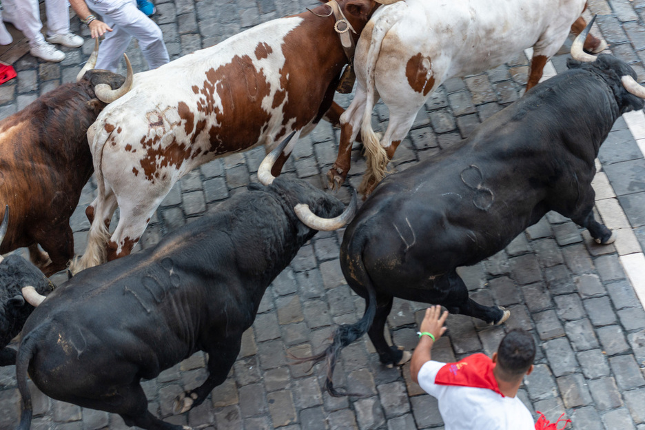 Anécdota del día: dos toros llevaban el 108, el mismo número, al ser de distintos años..