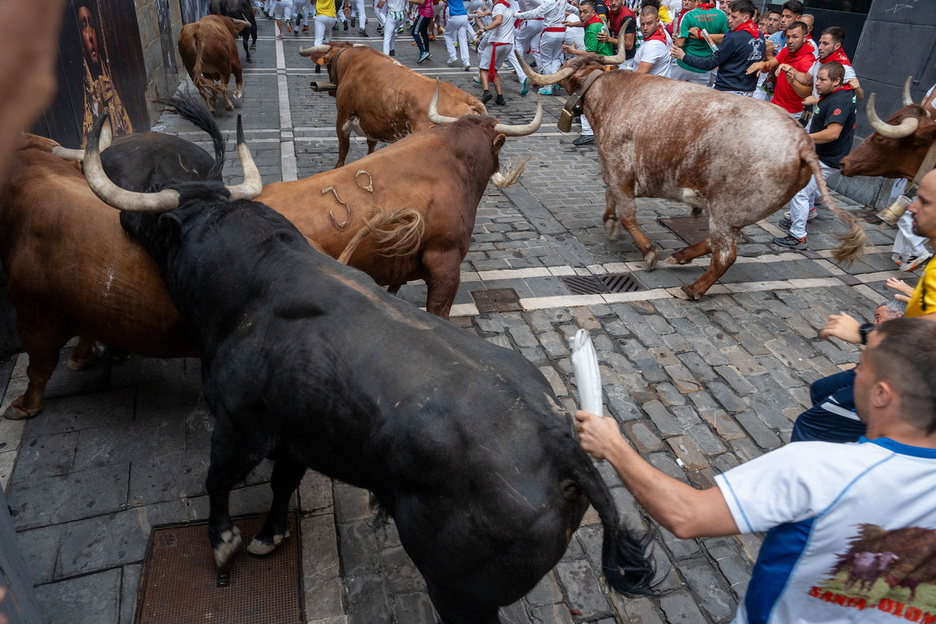 Los toros, confundidos tras chocar con la valla de la curva.