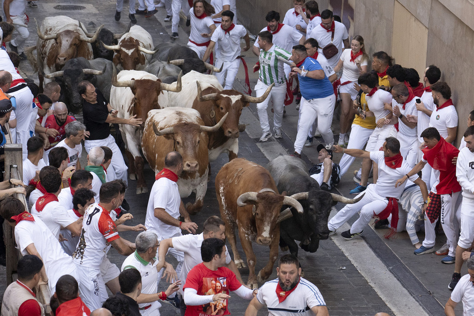 Los toros han ido adelantando a los cabestros al final de Santo Domingo. Los toros han ido adelantando a los cabestros al final de Santo Domingo.