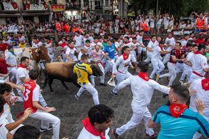 Los toros de La Palmosilla llegan a Telefónica