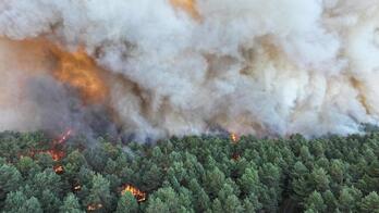 El fuego ha arrasado ya 1.900 hectáreas del bosque de Fontainebleau.