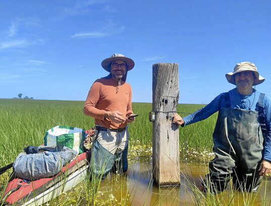 Aves y murciélagos serán las especies que se analizarán en Ecoeclipse, un estudio pionero en el que colaborarán investigadores vascos.
