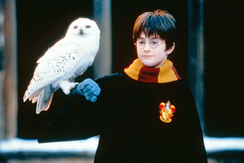 'Harry Potter eta Sorgin Harria' filmeko irudia