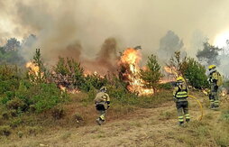 Incendio forestal en las Peñas de Riglos.