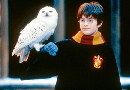 Hogwartseko etxeetako bufandak, makilak, jantziak, bideojokoak, bildumazaleentzako produktuak, parke tematikoak eta mota guztietako merchandisingak fenomenoaren beste aurpegia ere erakutsi dute.