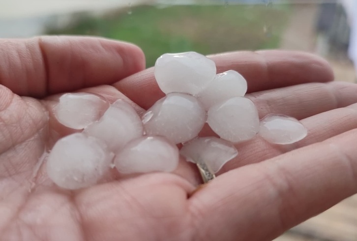 El granizo ha causado daños en más de 3.000 hectáreas de cultivo en Hego Euskal Herria.