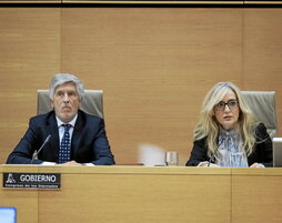 Fernando Grande Marlaska, durante su comparecencia en el Congreso.