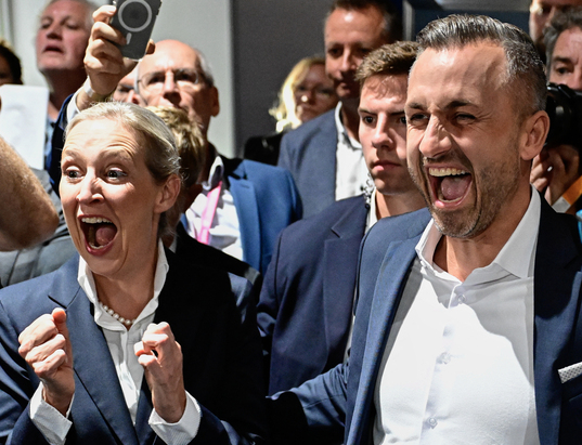 La colíder de la Afd, Alice Weidel, y el candidato, Ulrich Siegmund. 