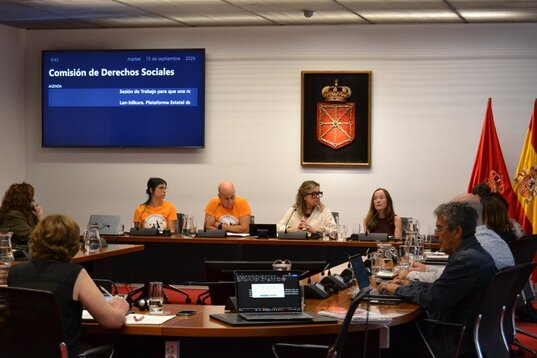 La Plataforma Estatal de Cuidadoras Principales, en el Parlamento navarro.