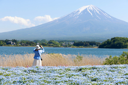 Aurten 27.626.300 bisitari atzerritar iritsi dira Japoniara.