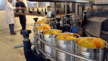 Habrá tres días de huelga en las conserveras vegetales del Estado español.