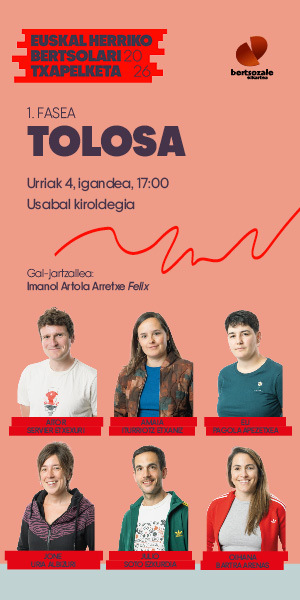 Irudia