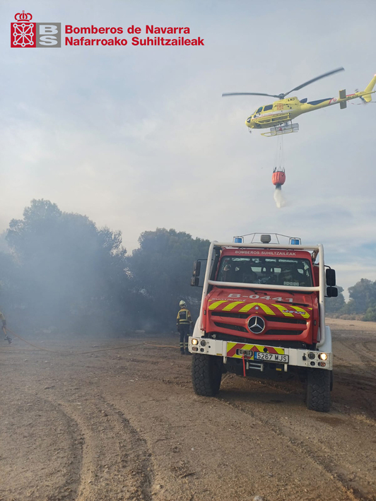Bomberos en el pinar de Caparroso.