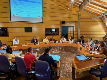 La diputada foral de Hacienda y Finanzas ha presentado el proyecto en comisión de las Juntas Generales. 