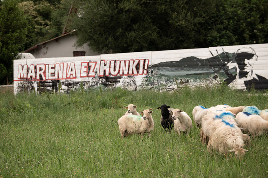 Iragan ekainean arditegi bat eman zuten opoziogileek Marieniako lurretan, Kanbon.