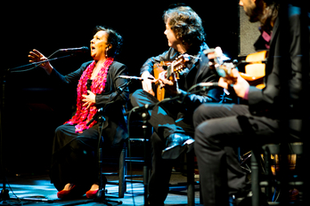 Carmen Linaresen emanaldi bat 2017an Madrilen