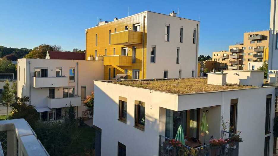Barrio de Wildgarden. Barrio de Wildgarden.
