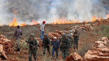 Palestinos tratan de sofocar un incendio provocado por el Ejército, en un olivar en Asira al-Qibliya, una aldea al sur de Nablus.