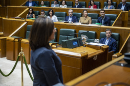 Imagen de archivo de un Pleno del Parlamento de Gasteiz.