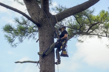 Un activista contra el Subfluvial, subido a uno de los árboles del parque de Artaza durante un acto de protesta