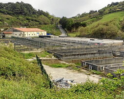 La abandonada piscifactoria de Agiti.